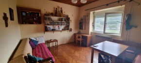 1 bedroom apartment with terrace and free parking